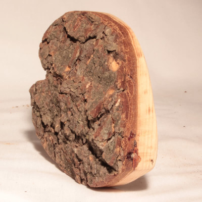 Cuore di legno massello con corteccia ed occhiello